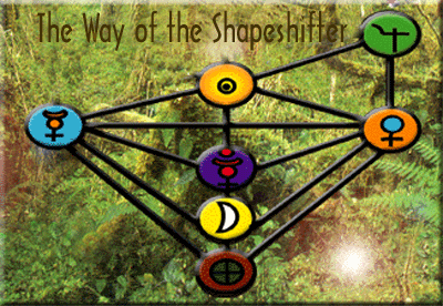 The path of the shapeshifter
