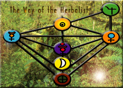 The path of the herbalist