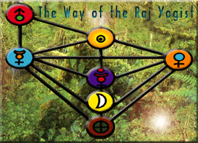 the way of the raj yogist